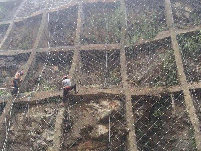 Ͼ^b߅·oW_ӹ߅ºͱoֲĿ