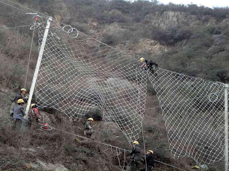 ُ(dng)o(h)W(wng)r(sh)ע(xing)