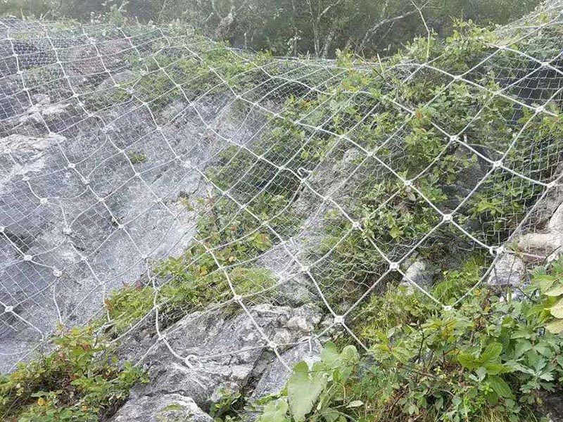 ߅·o(h)W(wng)(yng)ЩطҪb