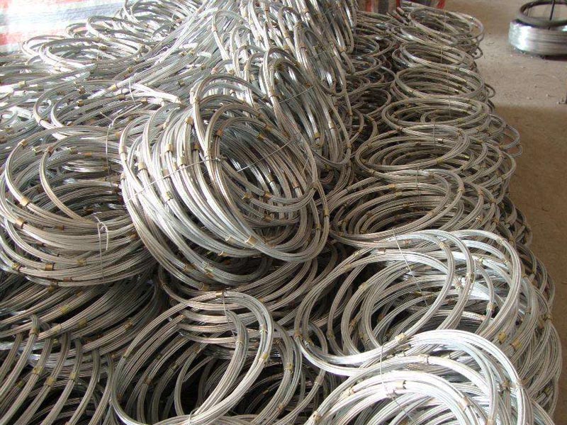 國標(biāo)環(huán)形網(wǎng)對(duì)比