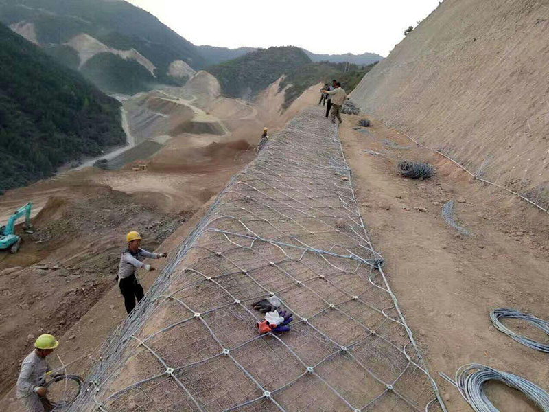 ߅·o(h)W(wng)F·O(sh)ǷǳҪ